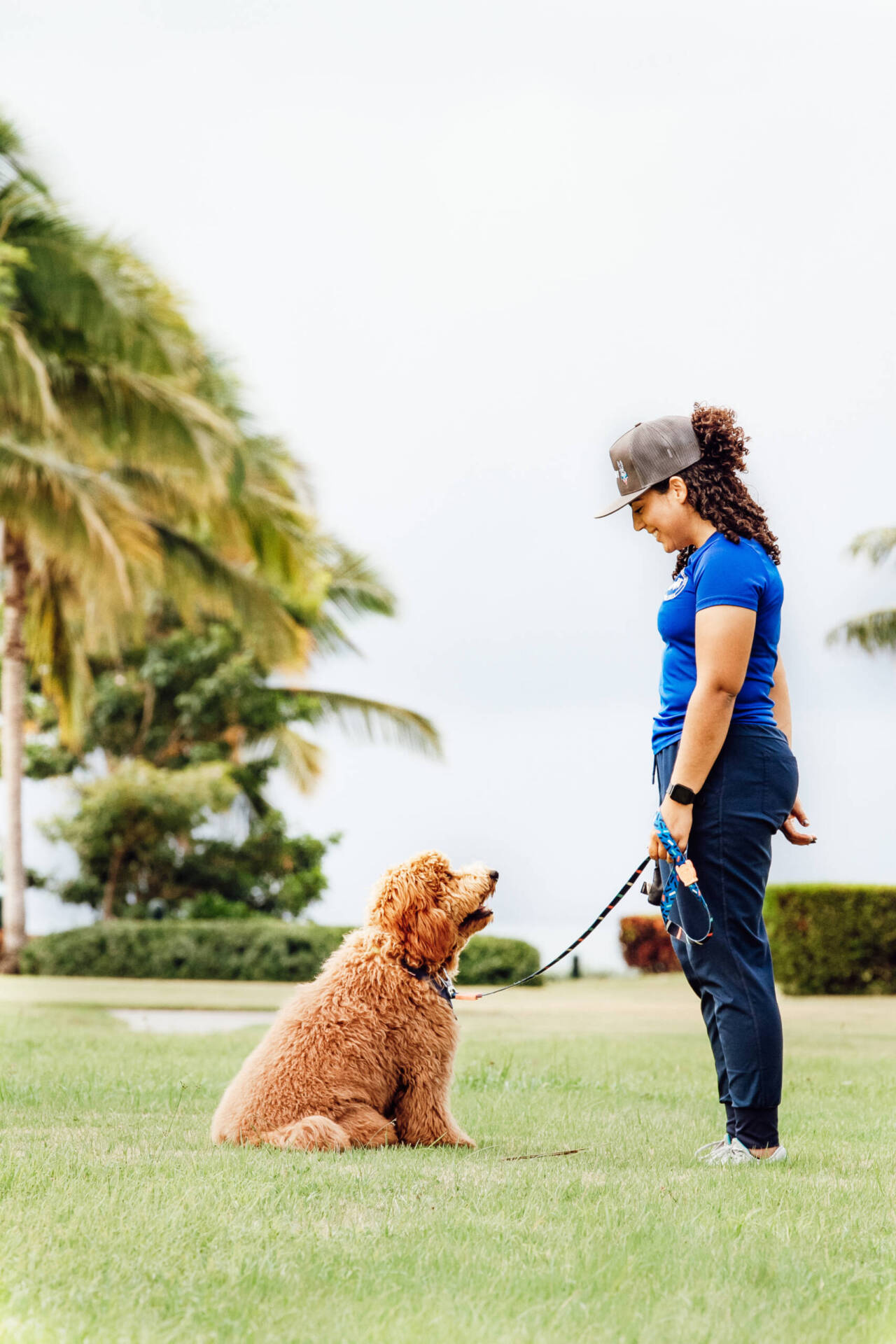 Entrenamiento en Obediencia